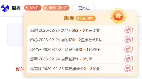 张之臻未能进入迪拜赛男单第二轮