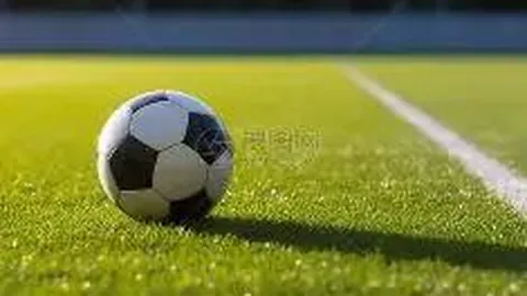 万博manbetx体育平台